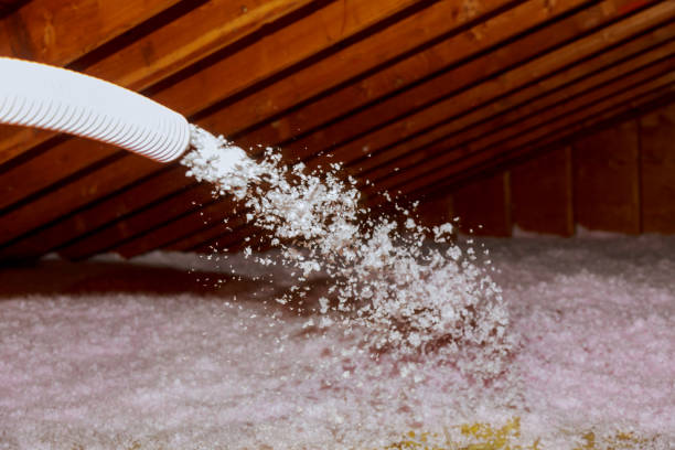 Best Garage Insulation  in Newport, SC